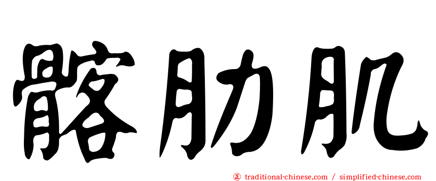 髂肋肌