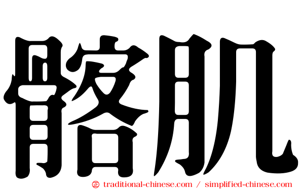 髂肌