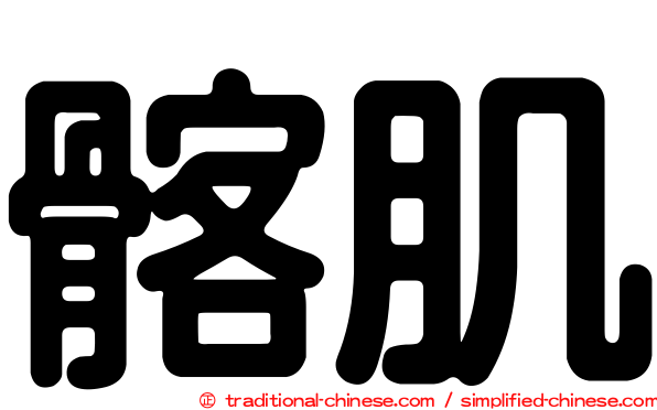 髂肌