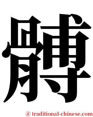 髆 serif font