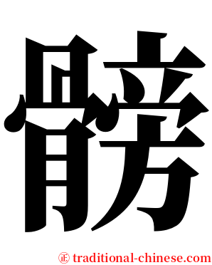 髈 serif font