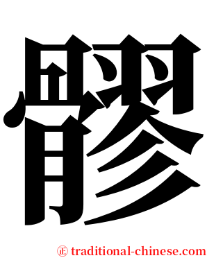 髎 serif font
