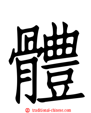 體