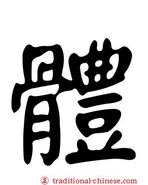 體