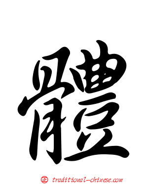 體