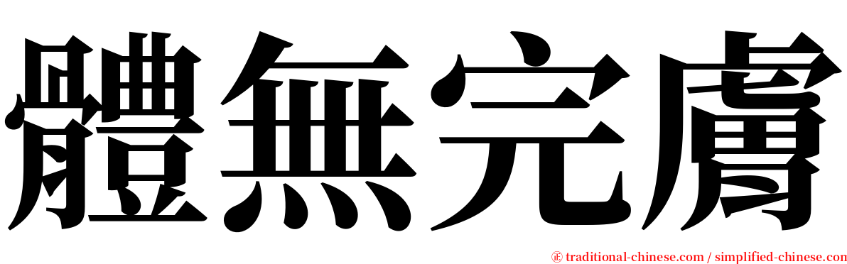體無完膚 serif font