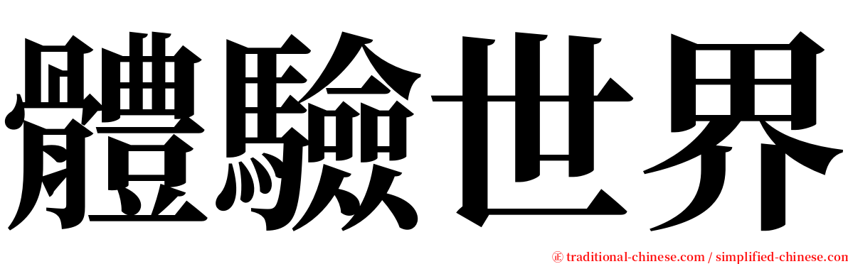 體驗世界 serif font