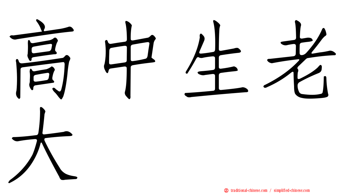 高中生老大