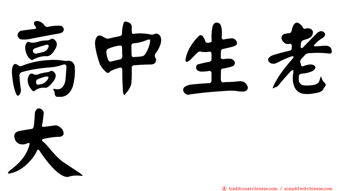 高中生老大