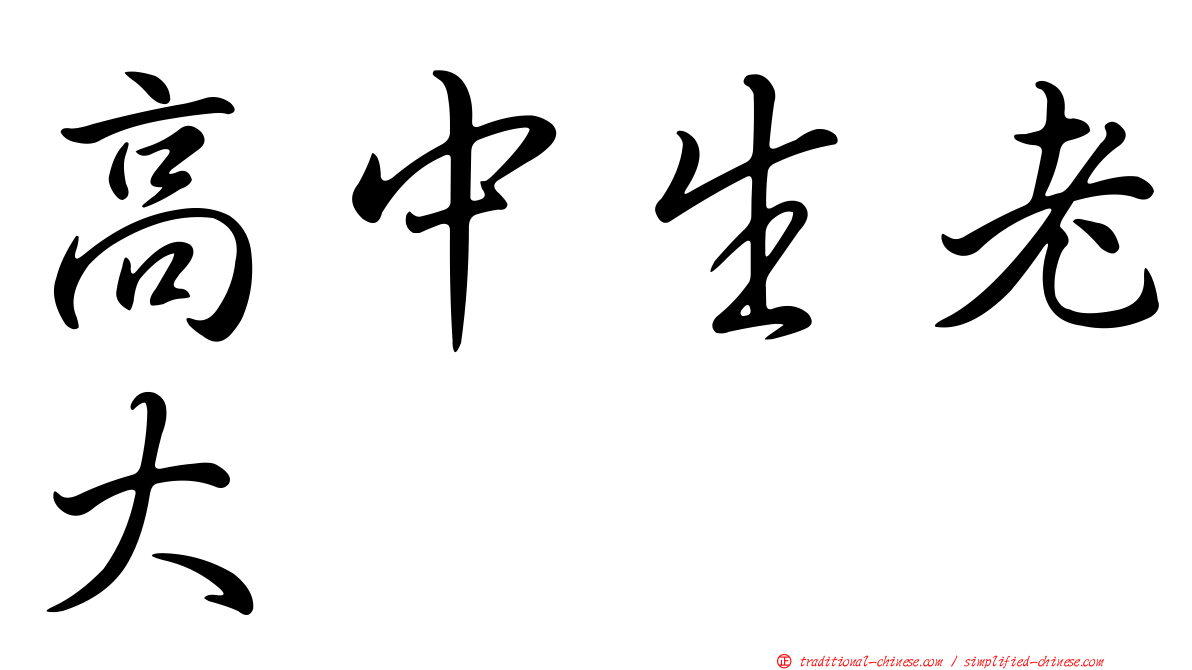 高中生老大