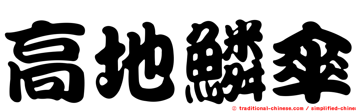 高地鱗傘