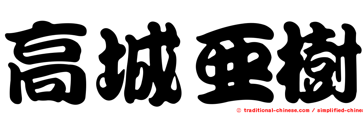 高城亞樹