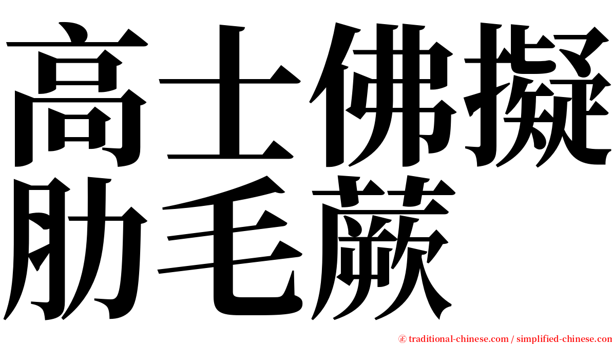 高士佛擬肋毛蕨 serif font