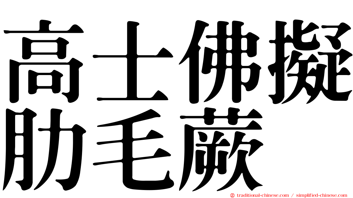 高士佛擬肋毛蕨