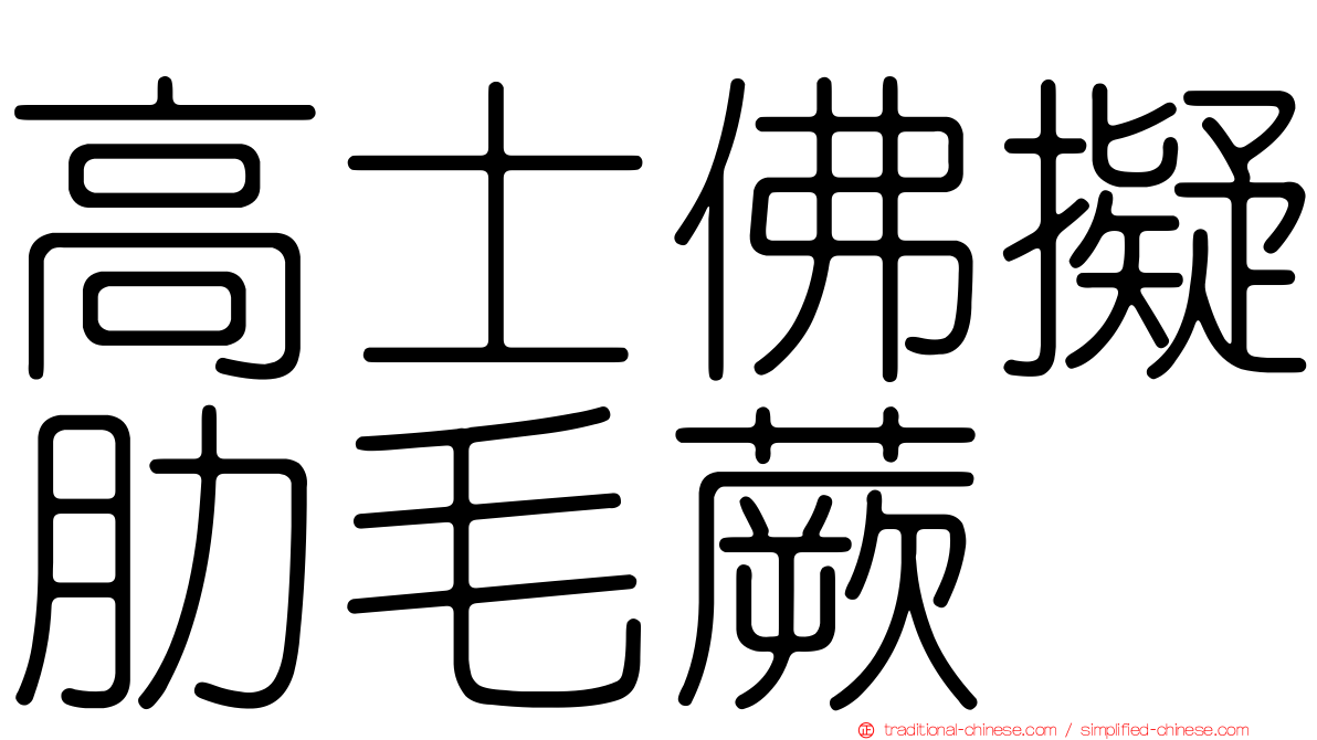 高士佛擬肋毛蕨