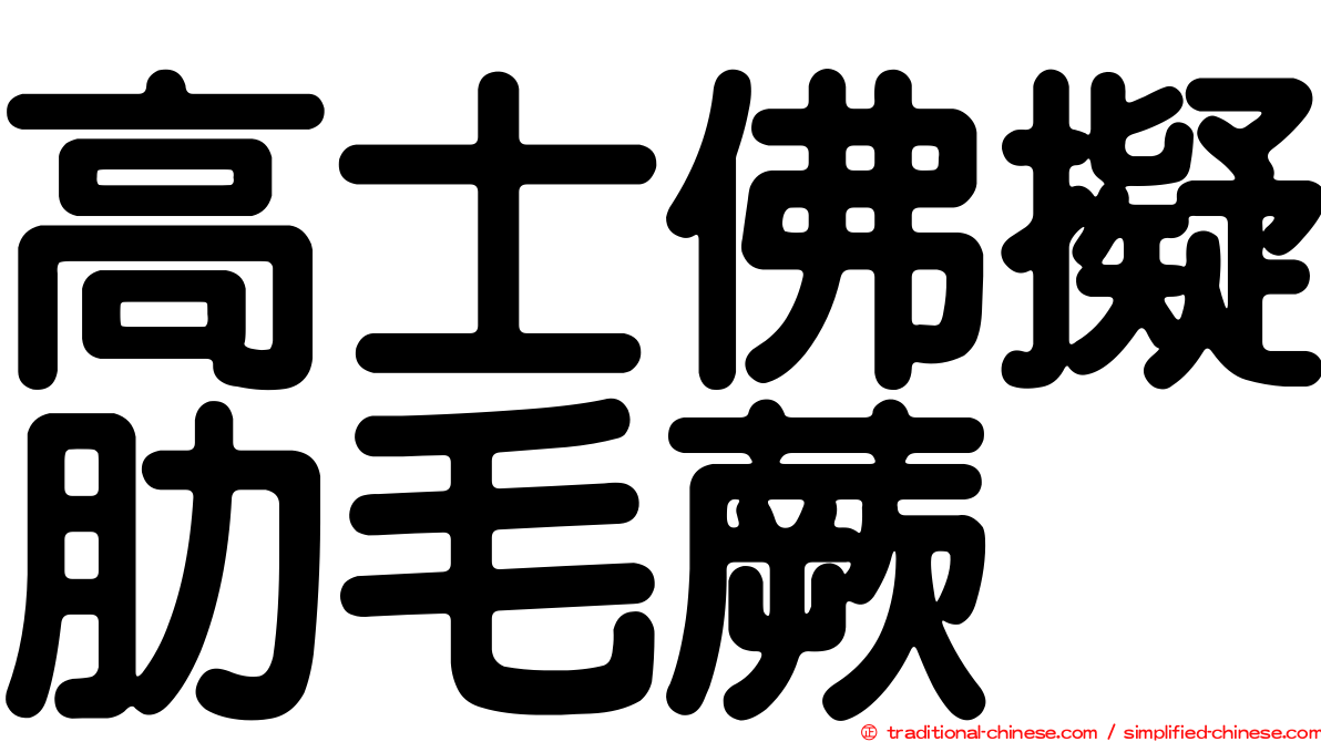 高士佛擬肋毛蕨