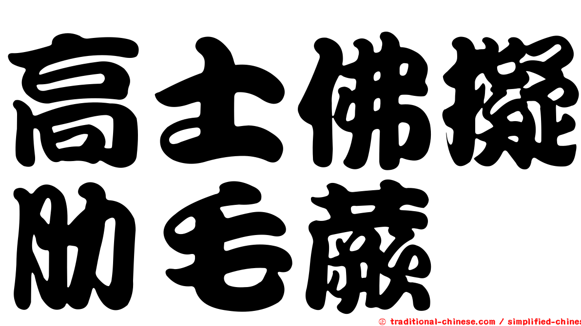 高士佛擬肋毛蕨