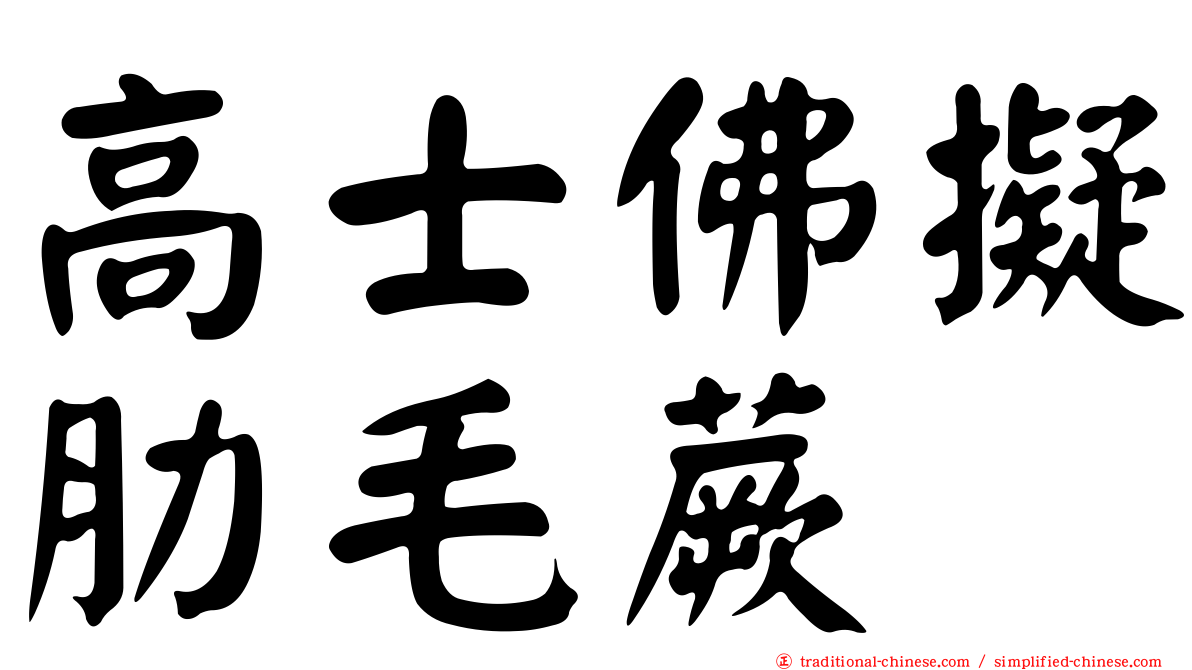 高士佛擬肋毛蕨