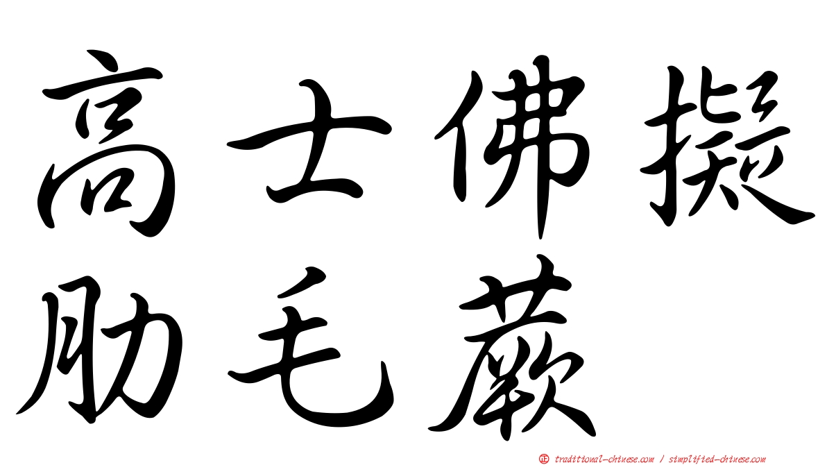 高士佛擬肋毛蕨