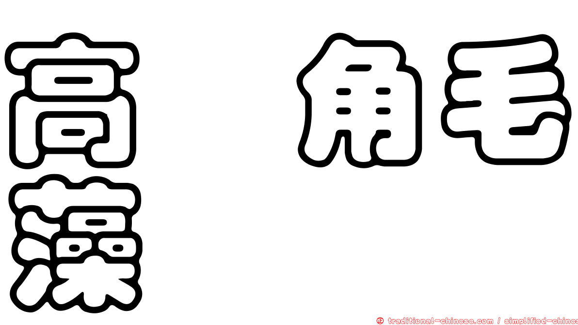 高孢角毛藻