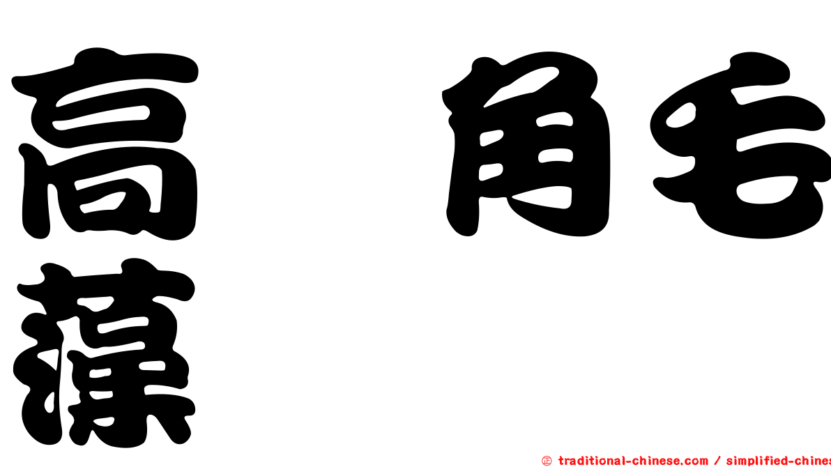 高孢角毛藻