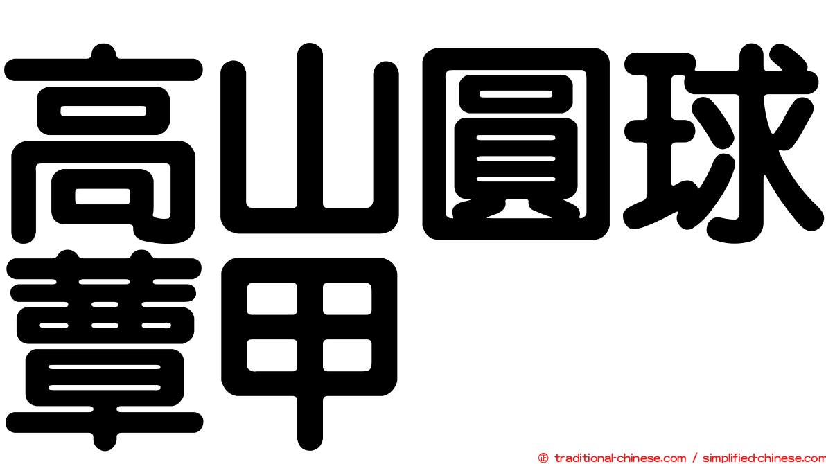 高山圓球蕈甲