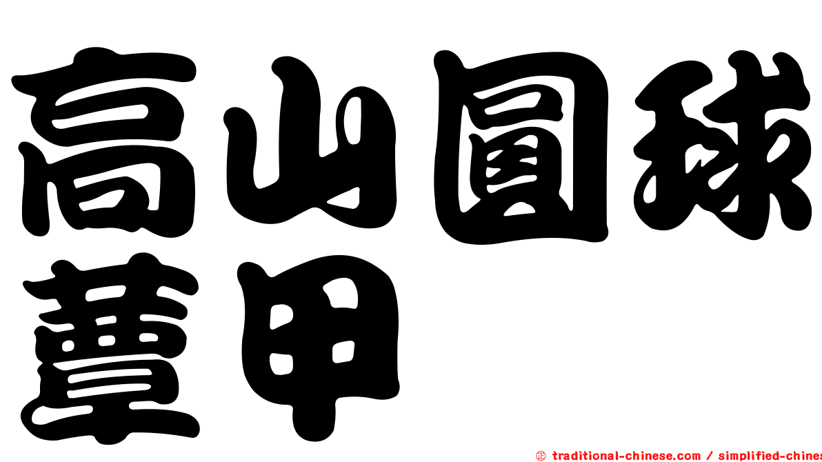 高山圓球蕈甲