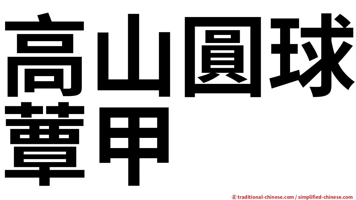 高山圓球蕈甲