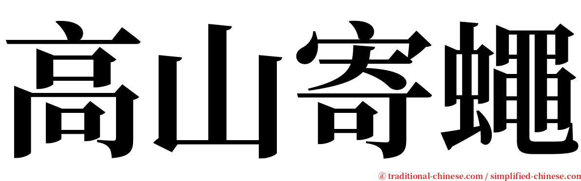 高山寄蠅 serif font