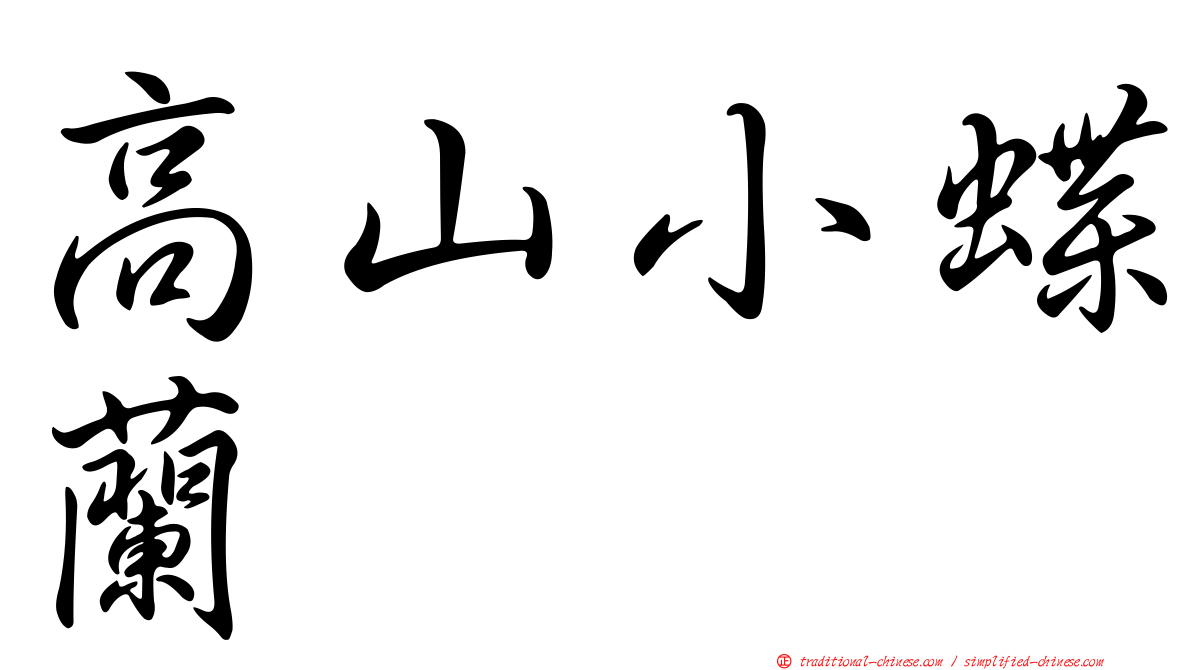 高山小蝶蘭