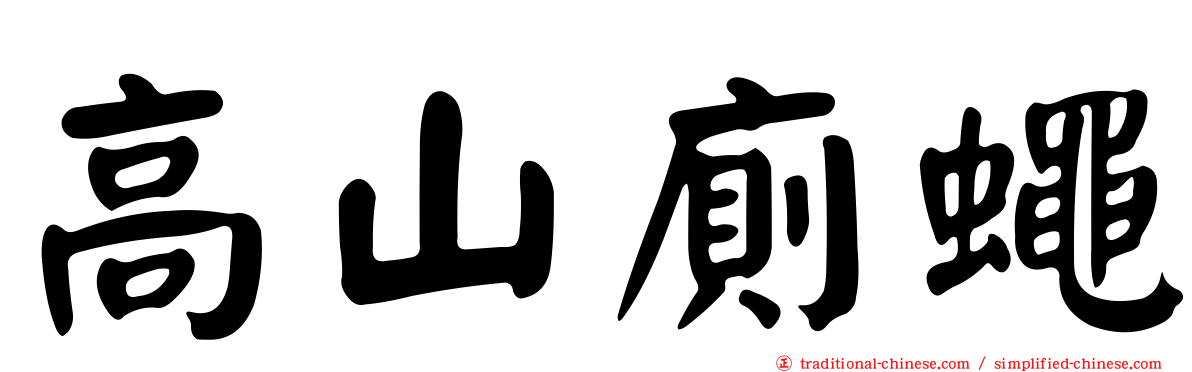 高山廁蠅