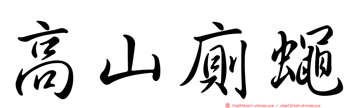 高山廁蠅