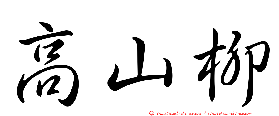 高山柳