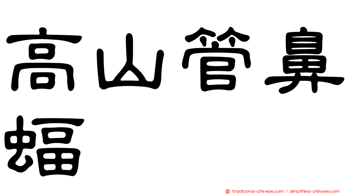 高山管鼻蝠
