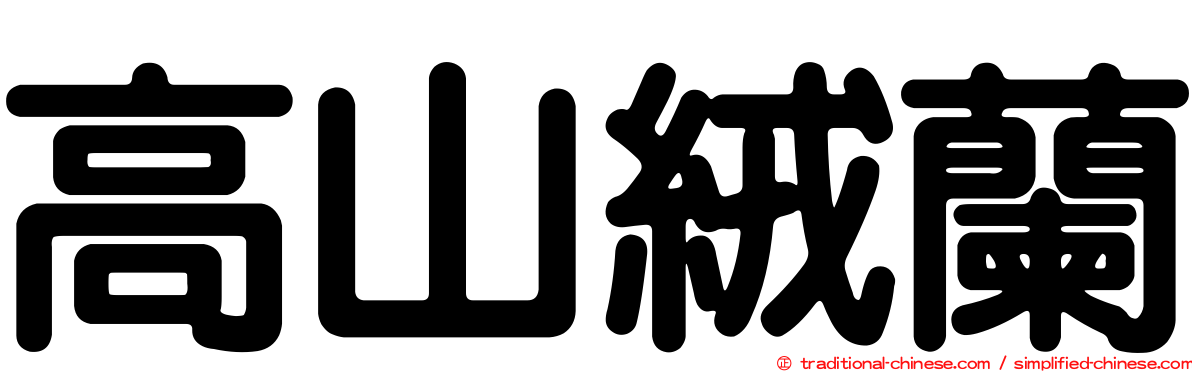 高山絨蘭