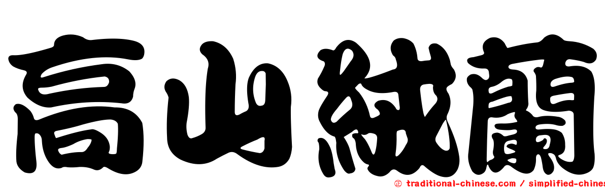 高山絨蘭