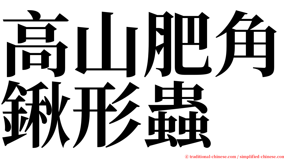 高山肥角鍬形蟲 serif font