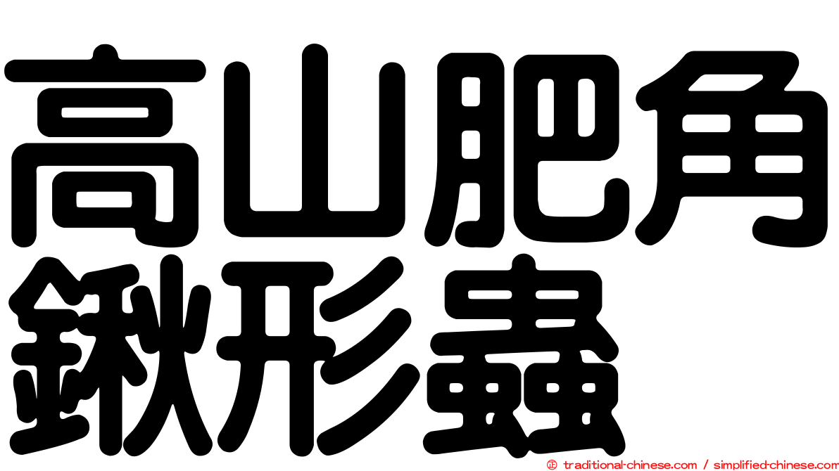 高山肥角鍬形蟲