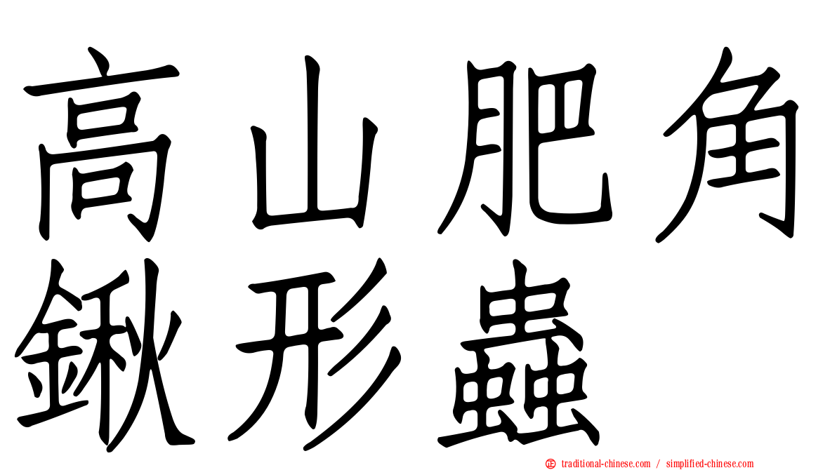 高山肥角鍬形蟲
