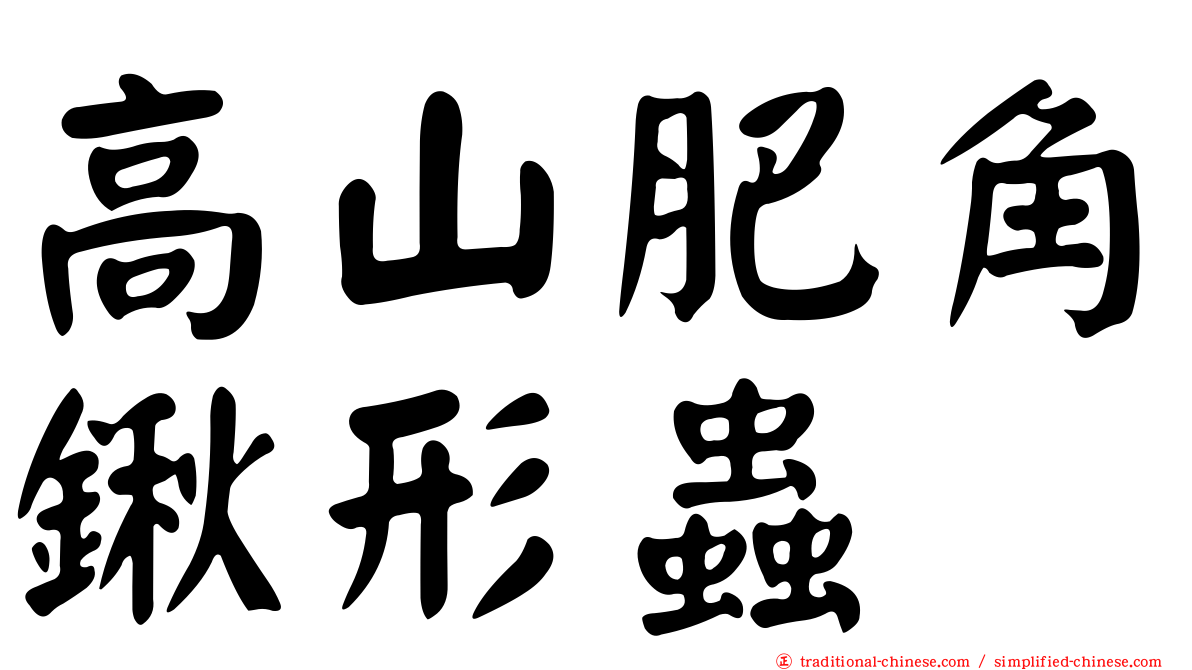 高山肥角鍬形蟲