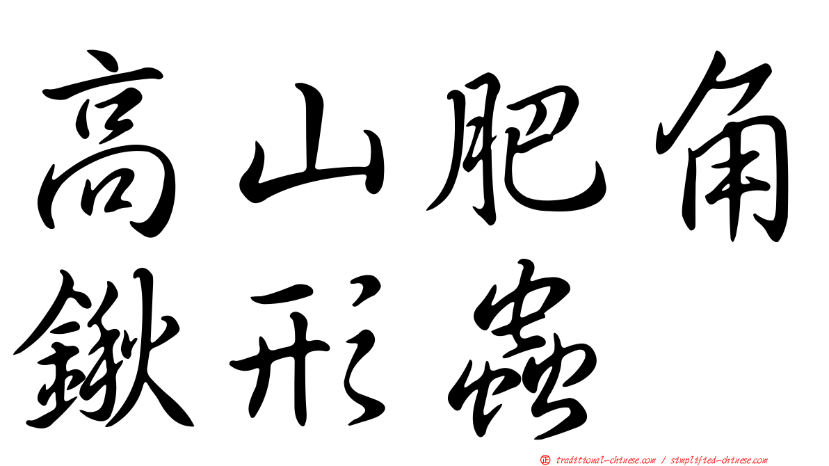 高山肥角鍬形蟲