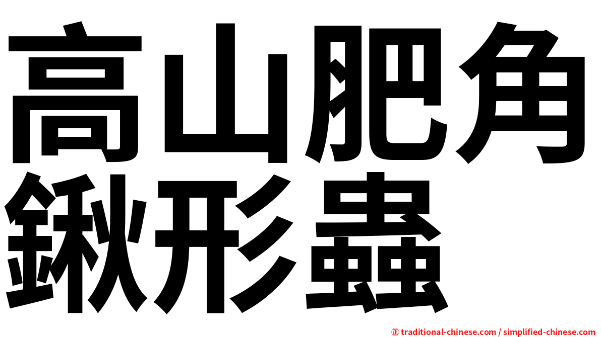 高山肥角鍬形蟲
