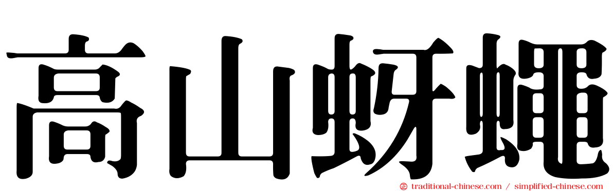 高山蚜蠅
