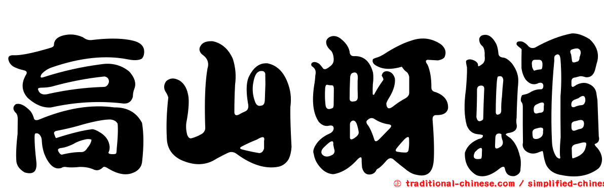 高山蚜蠅