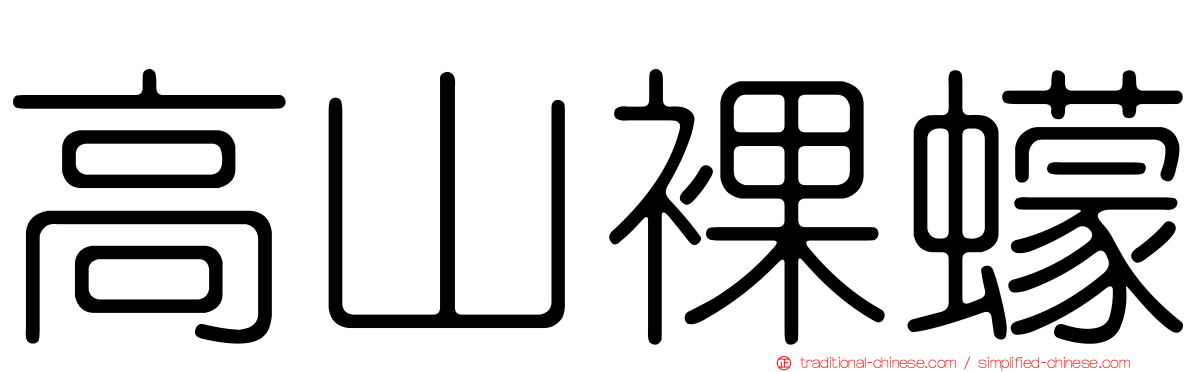 高山裸蠓
