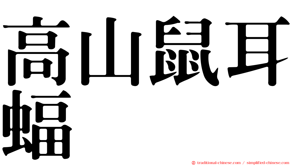 高山鼠耳蝠
