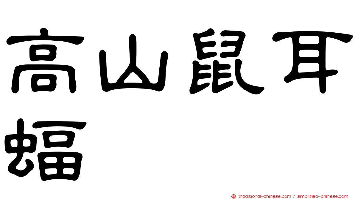 高山鼠耳蝠