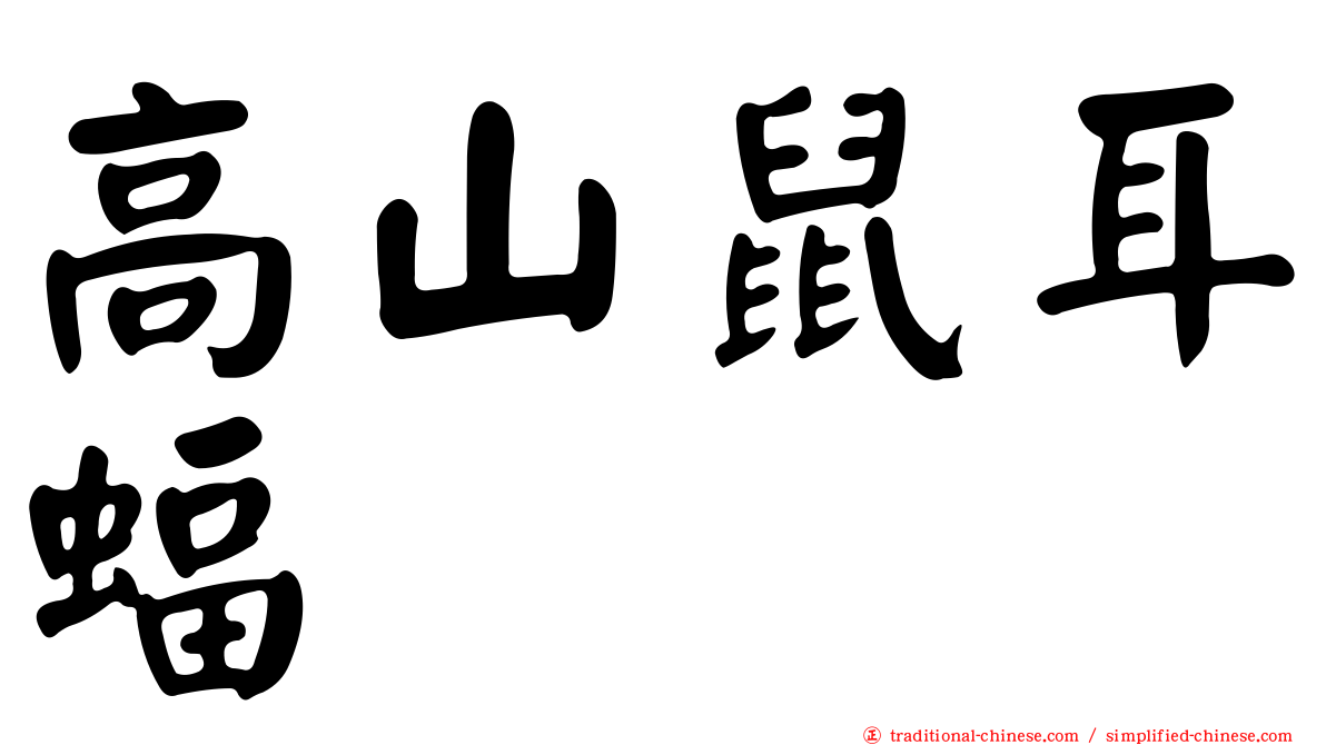 高山鼠耳蝠