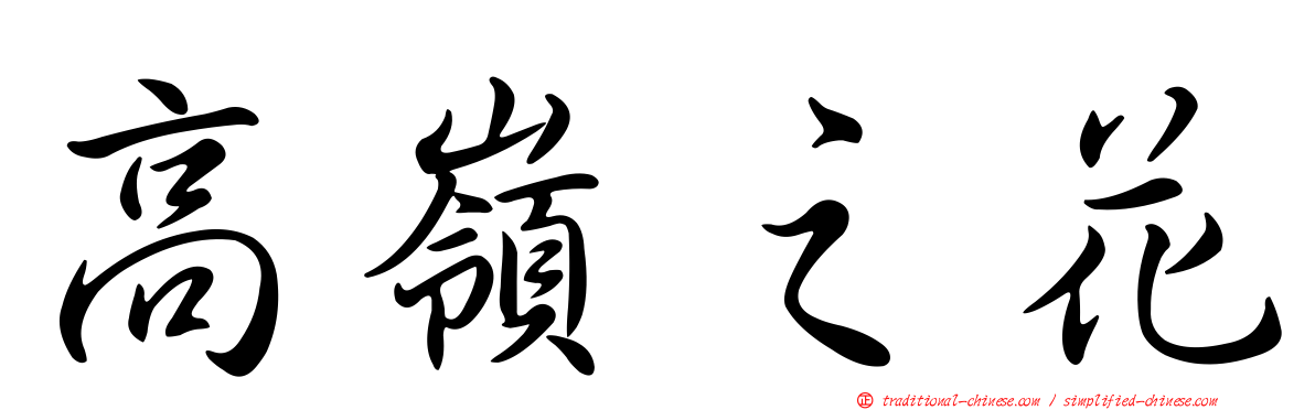 高嶺之花