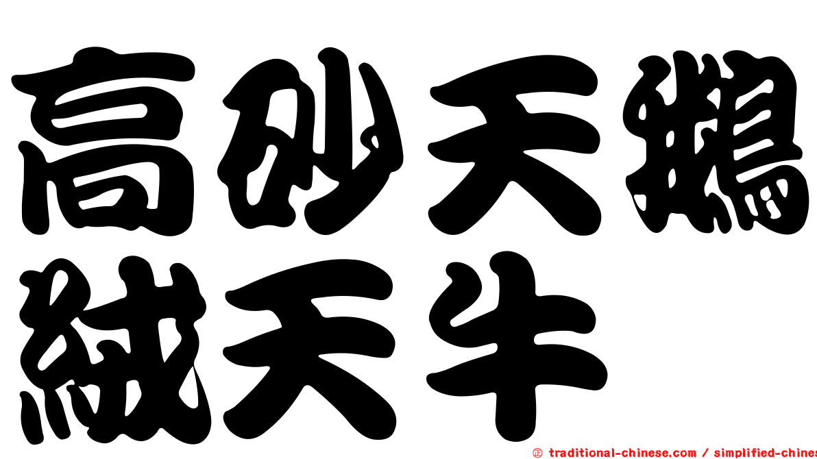 高砂天鵝絨天牛